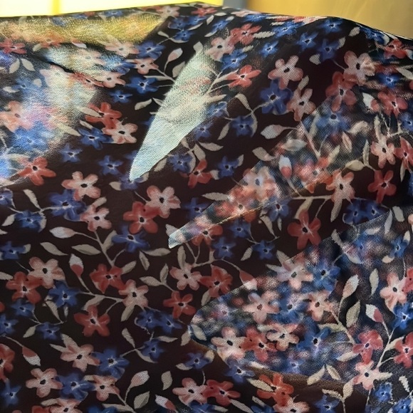 Bongo sheer, long sleeved sheer dress with black lining. Size 9 - Picture 5 of 10